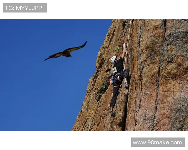 成都攀岩队耐力表现数据分析与训练策略探讨MBA