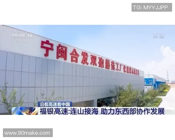 西安羽毛球队团队协作变革引发热议助力竞技水平提升